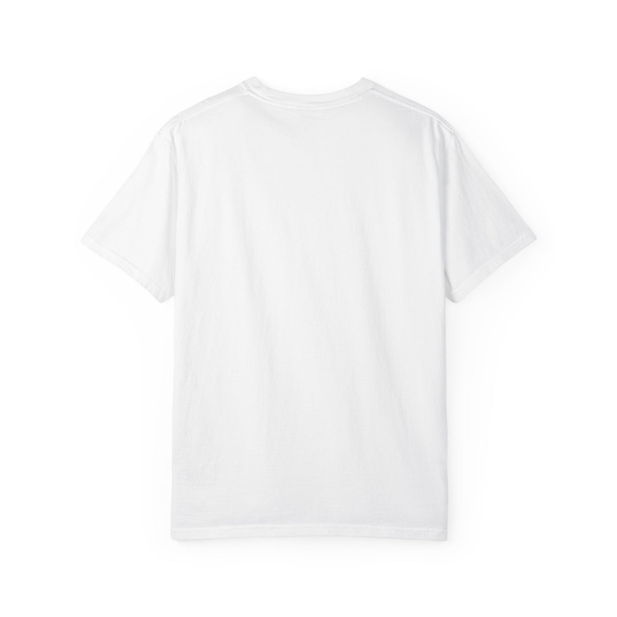 Vintage Biplane AdventureLab Logo T-Shirt | Aviation Travel Graphic